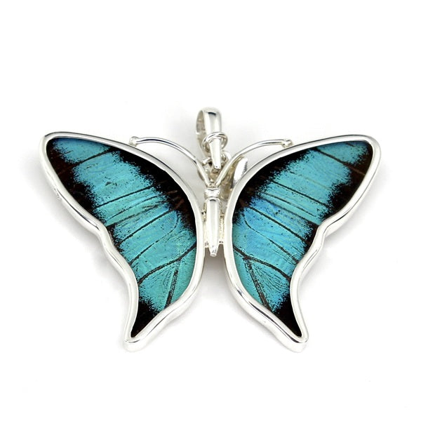 BUTTERFLY PREPONA SILVER MEDIUM PENDANT