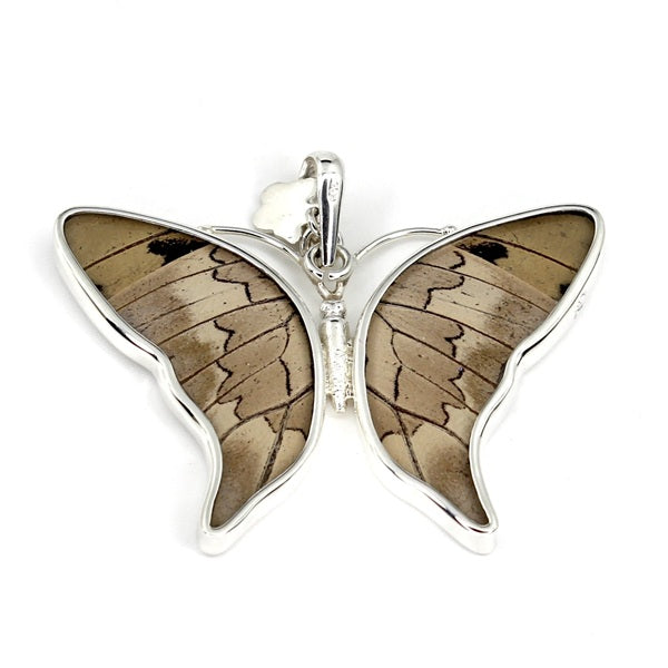 BUTTERFLY PREPONA SILVER MEDIUM PENDANT