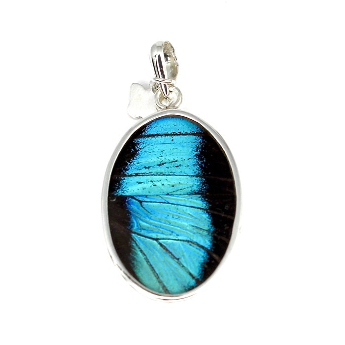 BUTTERFLY WING PREPONA MEDIUM OVAL SILVER PENDANT