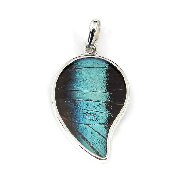 BUTTERFLY WING MEDIUM POINTED PREPONA SILVER  PENDANT