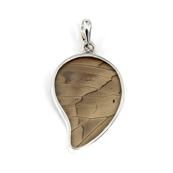 BUTTERFLY WING MEDIUM POINTED PREPONA SILVER  PENDANT