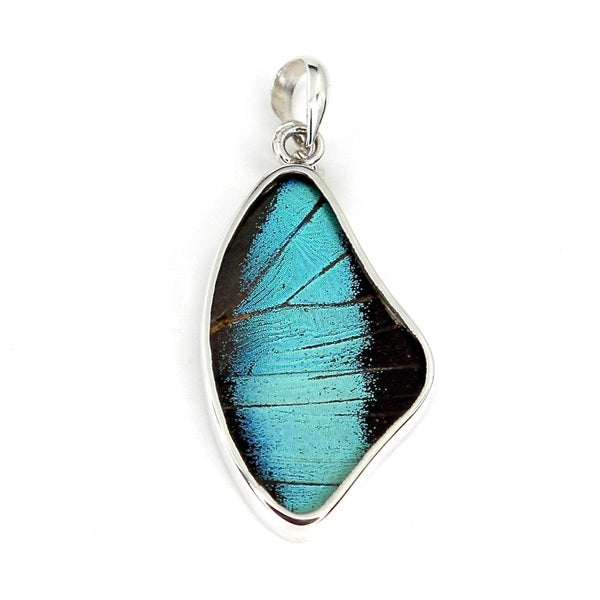 BUTTERFLY WING PREPONA SILVER MEDIUM PENDANT