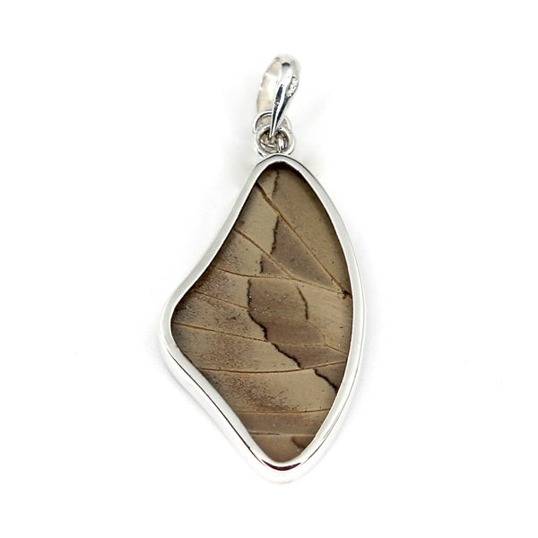 BUTTERFLY WING PREPONA SILVER MEDIUM PENDANT
