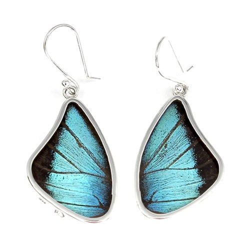 BUTTERFLY WING PREPONA SILVER MEDIUM EARRINGS