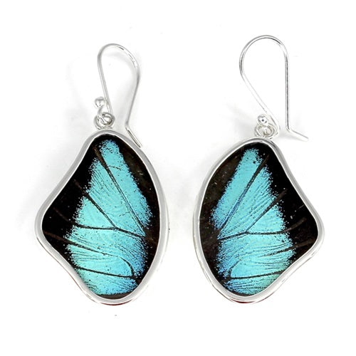 BUTTERFLY WING PREPONA SILVER LARGE EARRINGS