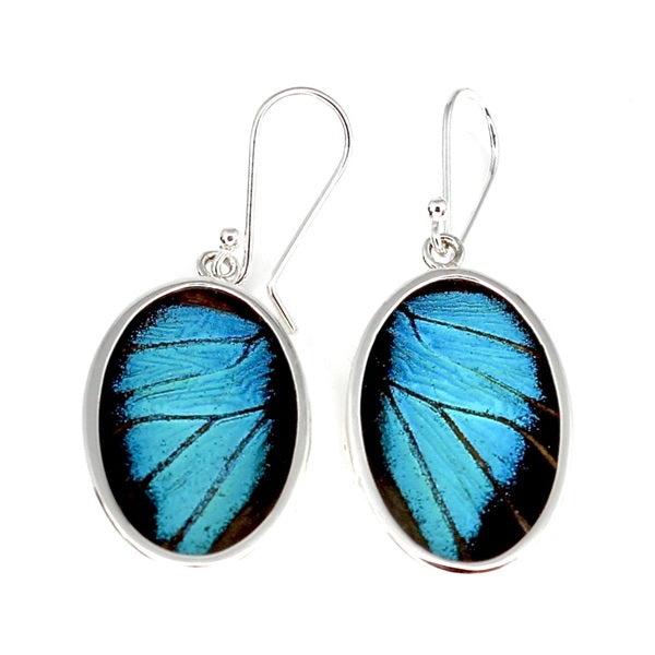 BUTTERFLY WING PREPONA SILVER MEDIUM OVAL EARRINGS