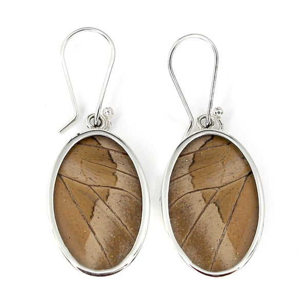 BUTTERFLY WING PREPONA SILVER MEDIUM OVAL EARRINGS