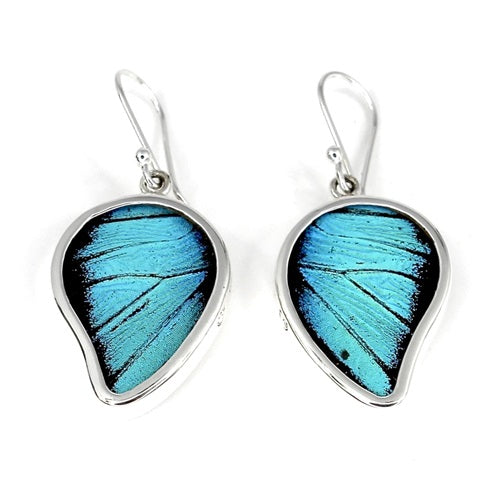 BUTTERFLY WING PREPONA SILVER MEDIUM POINTED DROP EARRINGS