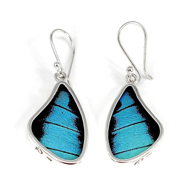 BUTTERFLY WING PREPONA SILVER MEDIUM EARRINGS