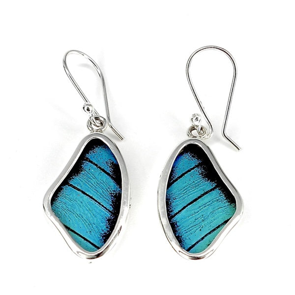 BUTTERFLY WING PREPONA SILVER SMALL EARRINGS