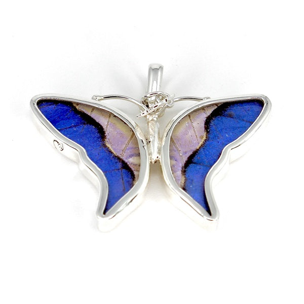 BUTTERFLY WING SMALL MORPHO/SULKOWSKY SILVER PENDANT