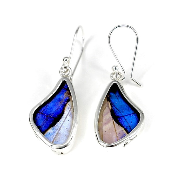 BUTTERFLY WING SMALL MORPHO/SULKOWSKY SILVER EARRINGS