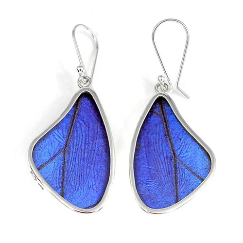 BUTTERFLY WING MORPHO SILVER MEDIUM EARRINGS