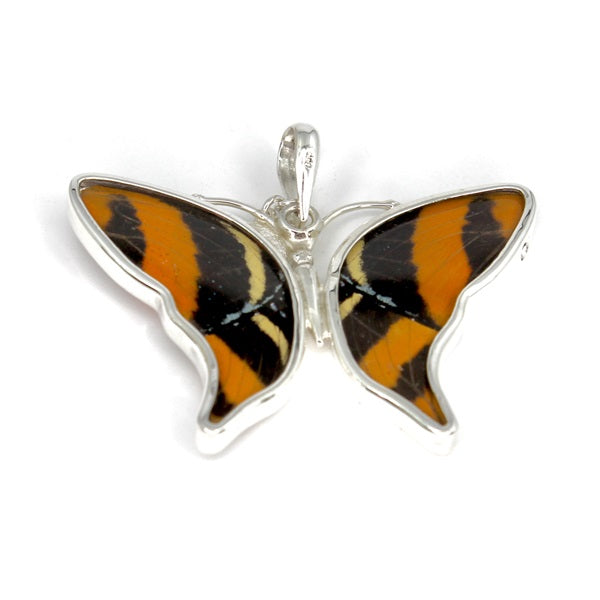 BUTTERFLY WING CATTAGRAMA/CATTAGRAMA MEDIUM SILVER PENDANT