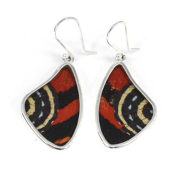 BUTTERFLY WING LARGE CATTAGRAMA/CATTAGRAMA SILVER EARRINGS