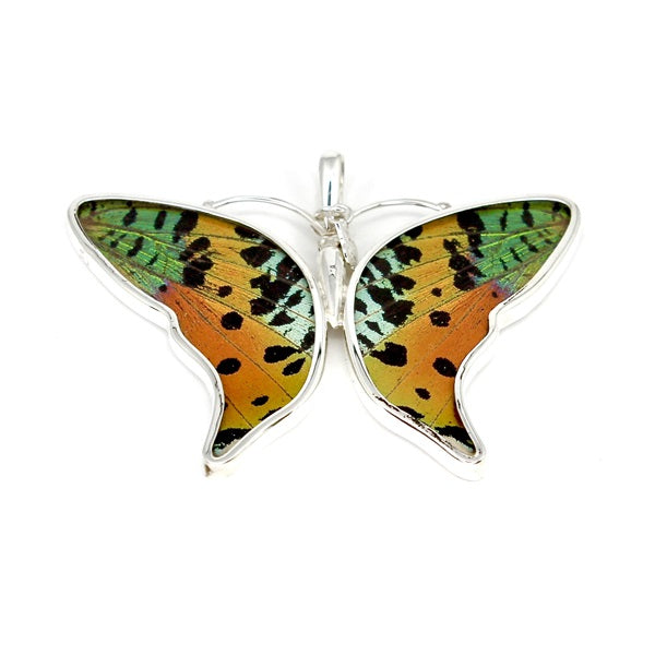 BUTTERFLY WING URANIA RIPHEUS LARGE SILVER PENDANT