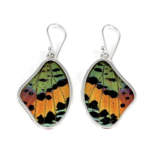 BUTTERFLY WING MEDIUM URANIA RIPHEUS SILVER EARRINGS