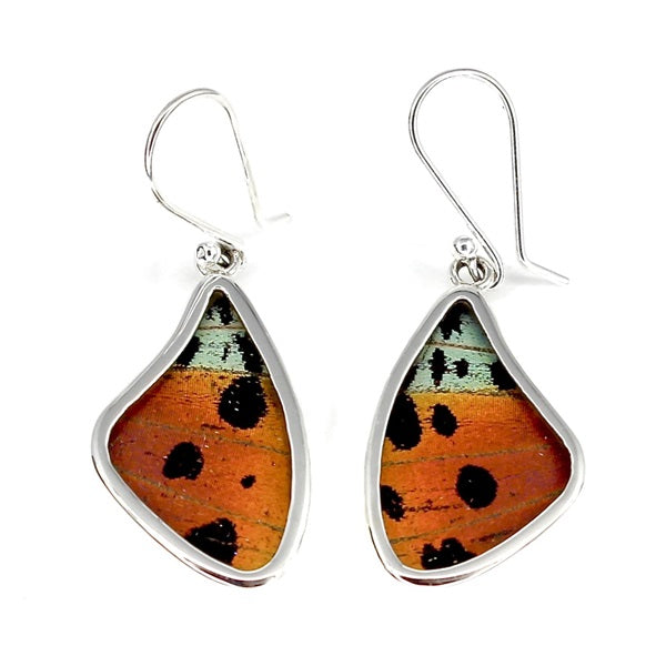 BUTTERFLY WING MEDIUM URANIA RIPHEUS SILVER EARRINGS