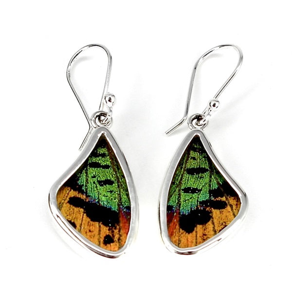 BUTTERFLY WING SMALL URANIA RIPHEUS SILVER EARRINGS