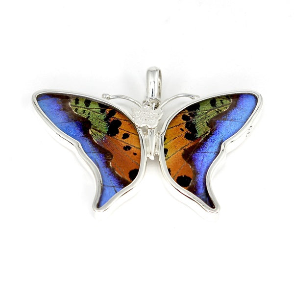 BUTTERFLY WING MORPHO/RIPHEUS MEDIUM SILVER PENDANT