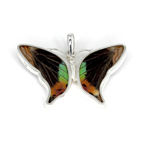 BUTTERFLY WING MORPHO/RIPHEUS MEDIUM SILVER PENDANT