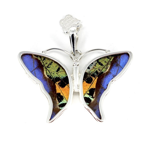 BUTTERFLY WING MORPHO/RIPHEUS SMALL SILVER PENDANT