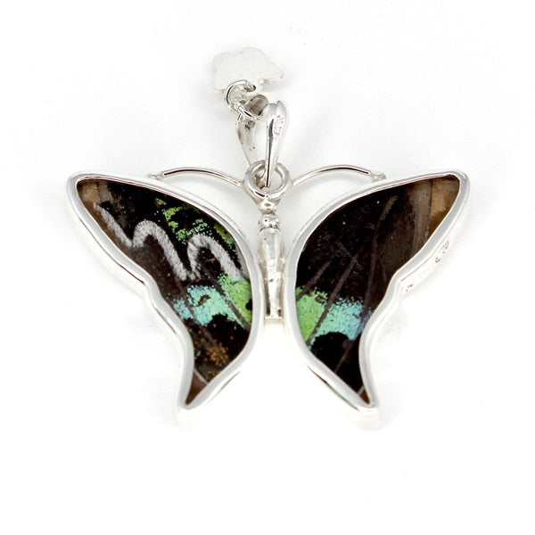 BUTTERFLY WING MORPHO/RIPHEUS SMALL SILVER PENDANT