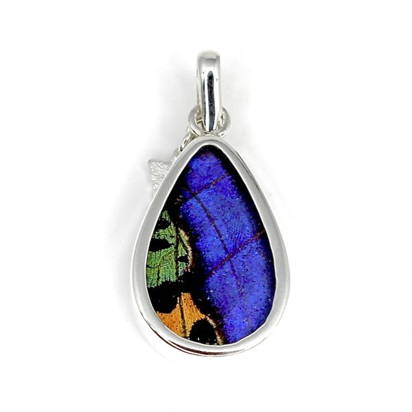 BUTTERFLY WING MORPHO/RIPHEUS SMALL TEAR DROP SILVER PENDANT