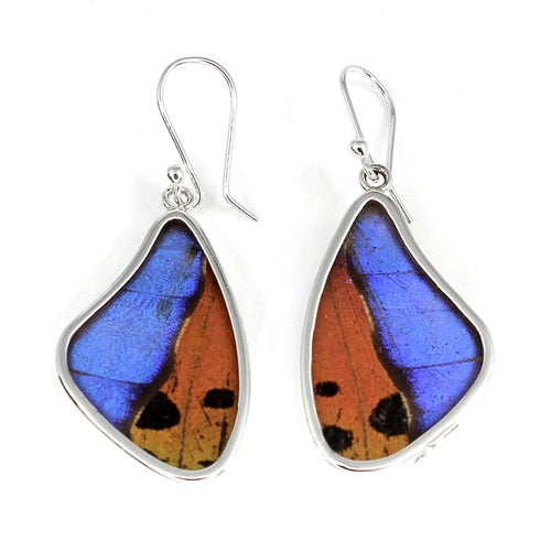 BUTTERFLY WING MORPHO/RIPHEUS LARGE SILVER DROP EARRINGS