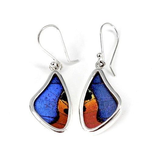 BUTTERFLY WING MORPHO/RIPHEUS SMALL SILVER DROP EARRINGS