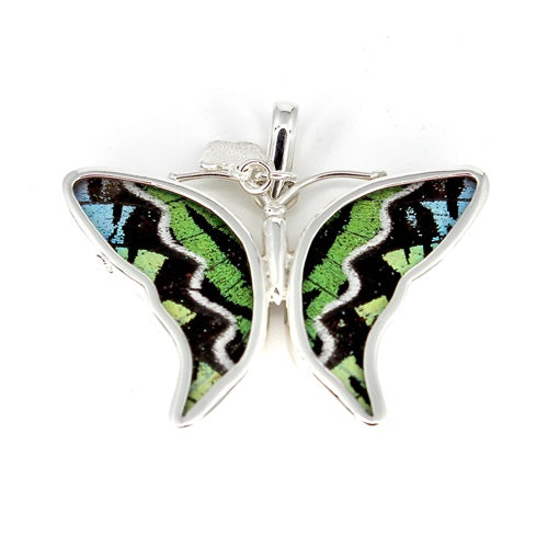 BUTTERFLY WING SMALL URANIA LEILUS SILVER PENDANT