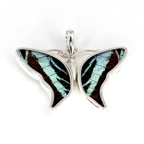 BUTTERFLY WING SMALL URANIA LEILUS SILVER PENDANT