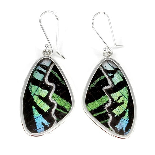 BUTTERFLY WING XL URANIA LEILUS SILVER DROP EARRINGS