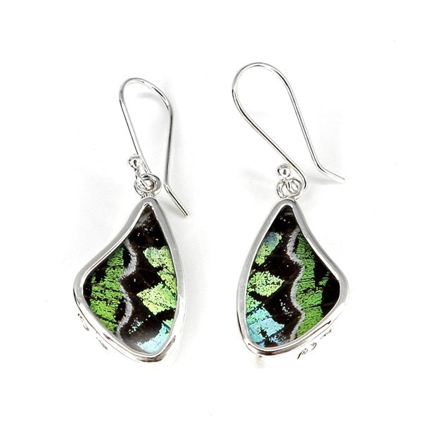 BUTTERFLY WING SMALL URANIA LEILUS SILVER DROP EARRINGS