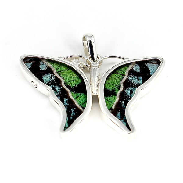 BUTTERFLY WING RIPHEUS & RIPHEUS SILVER PENDANT