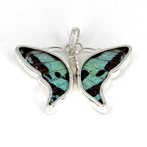 BUTTERFLY WING RIPHEUS & RIPHEUS SILVER PENDANT