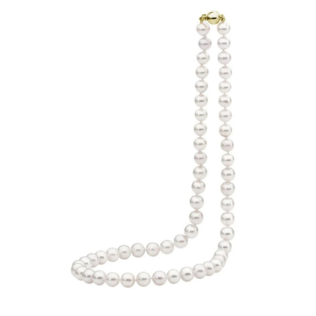 IKECHO EDITH 9ct YELLOW GOLD SOUTH SEA PEARL NECKLACE