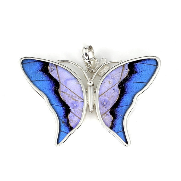 BUTTERFLY MEDIUM MORPHO/SULKOWSKY SILVER PENDANT