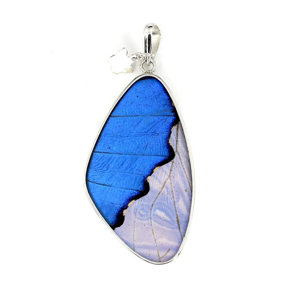 XL BUTTERFLY WING MORPHO/SULKOWSKY SILVER PENDANT
