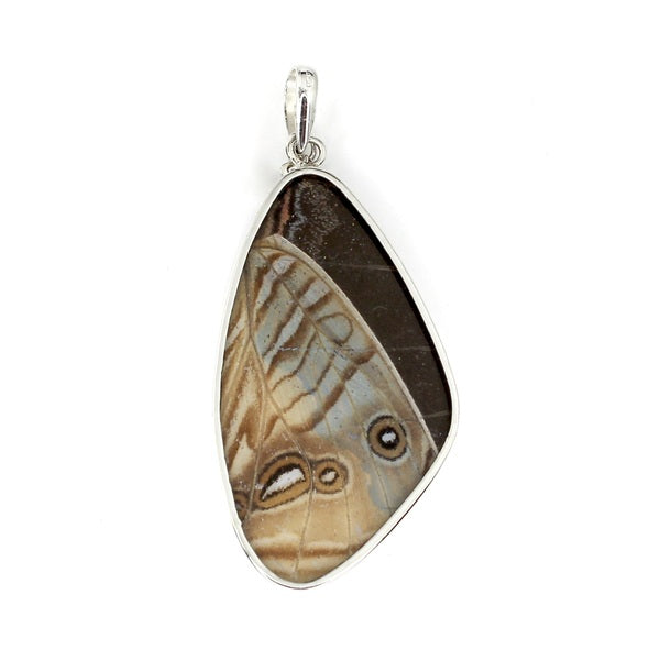 XL BUTTERFLY WING MORPHO/SULKOWSKY SILVER PENDANT