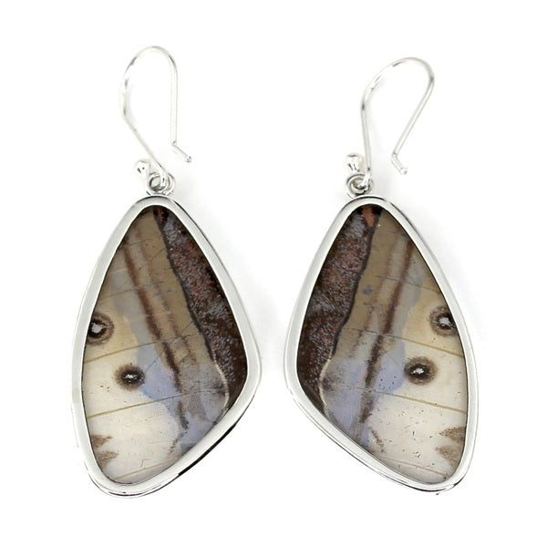 XL BUTTERFLY WING MORPHO/SULKOWSKY SILVER EARRINGS