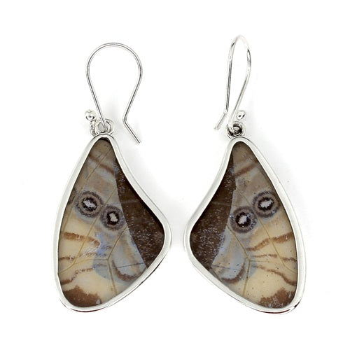 LARGE BUTTERFLY WING MORPHO/SULKOWSKY SILVER EARRINGS