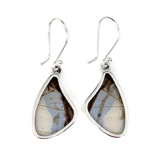 SMALL BUTTERFLY WING MORPHO/SULKOWSKY SILVER EARRINGS