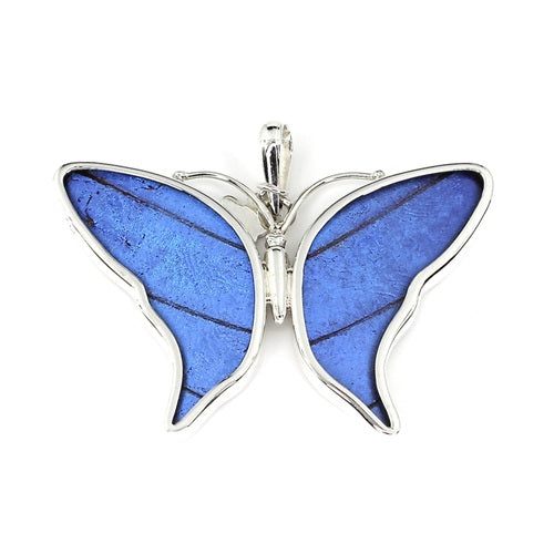 MEDIUM BUTTERFLY MORPHO SILVER PENDANT