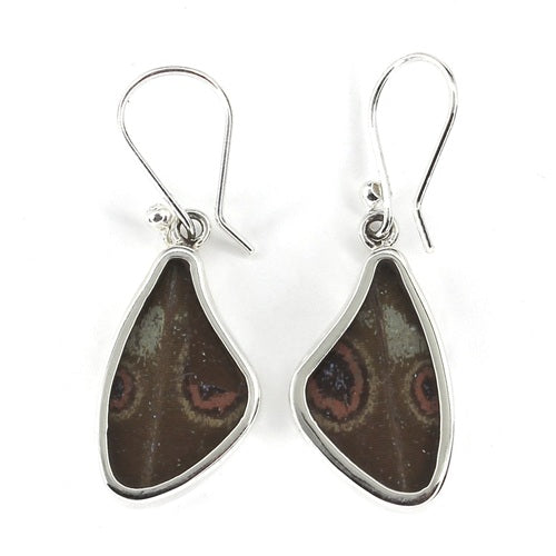 SMALL BUTTERFLY WING MORPHO SILVER EARRINGS