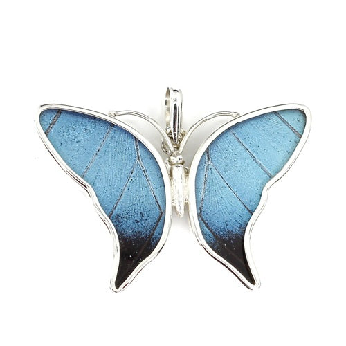 MEDIUM BUTTERFLY MORPHO ACHILES SILVER PENDANT
