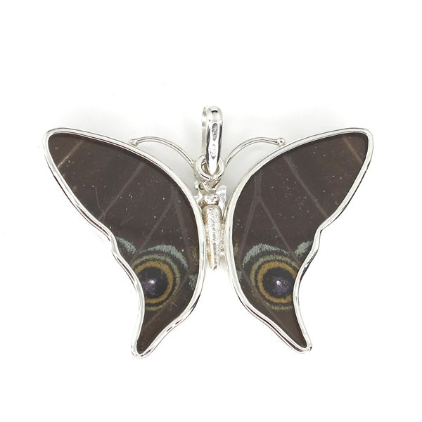 MEDIUM BUTTERFLY MORPHO ACHILES SILVER PENDANT