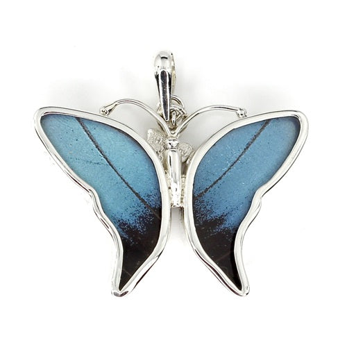 SMALL BUTTERFLY MORPHO ACHILES SILVER PENDANT