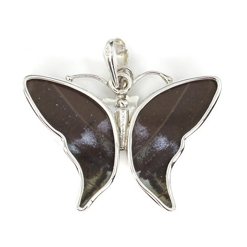 SMALL BUTTERFLY MORPHO ACHILES SILVER PENDANT