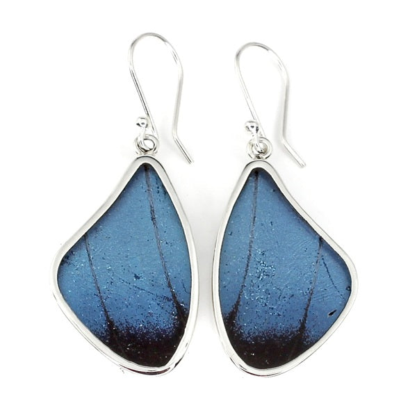 LARGE BUTTERFLY WING MORPHO ACHILES SILVER EARRINGS